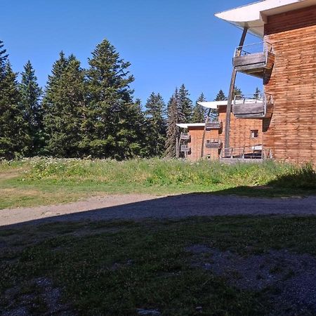 Апартаменти Chamrousse 1700 - Asters A03 Екстер'єр фото